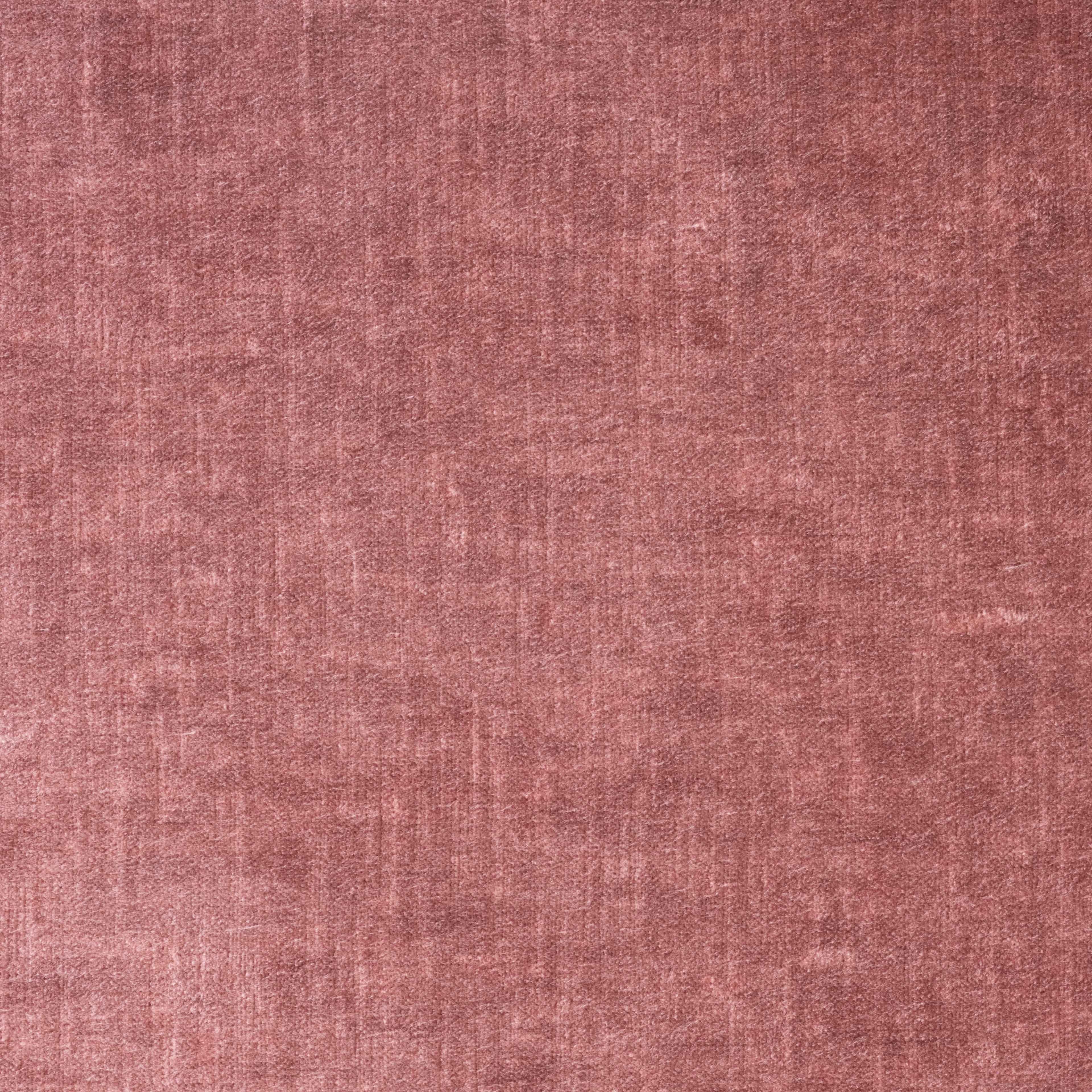 Vegas Rosa 57