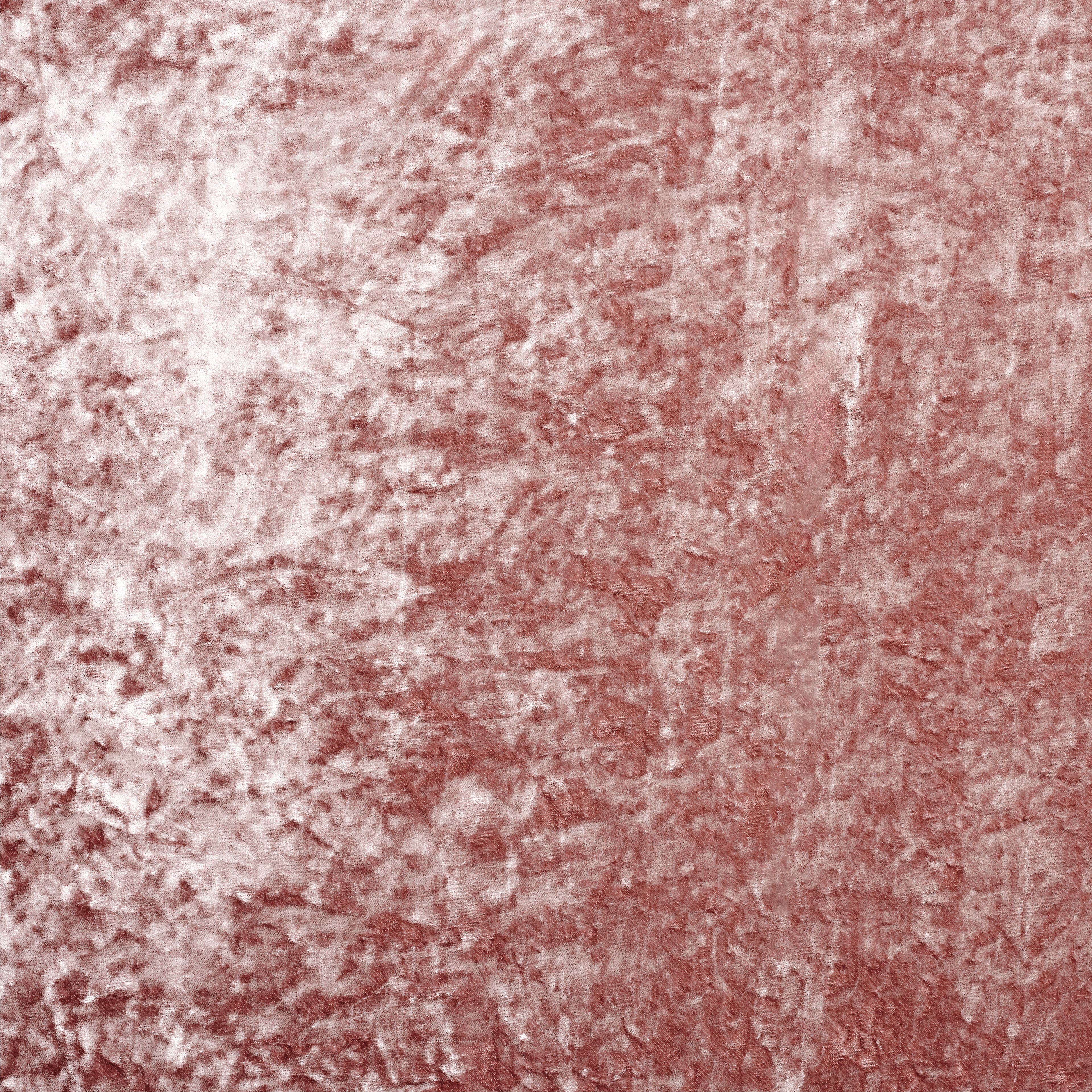 Oyster Dusty Pink 04