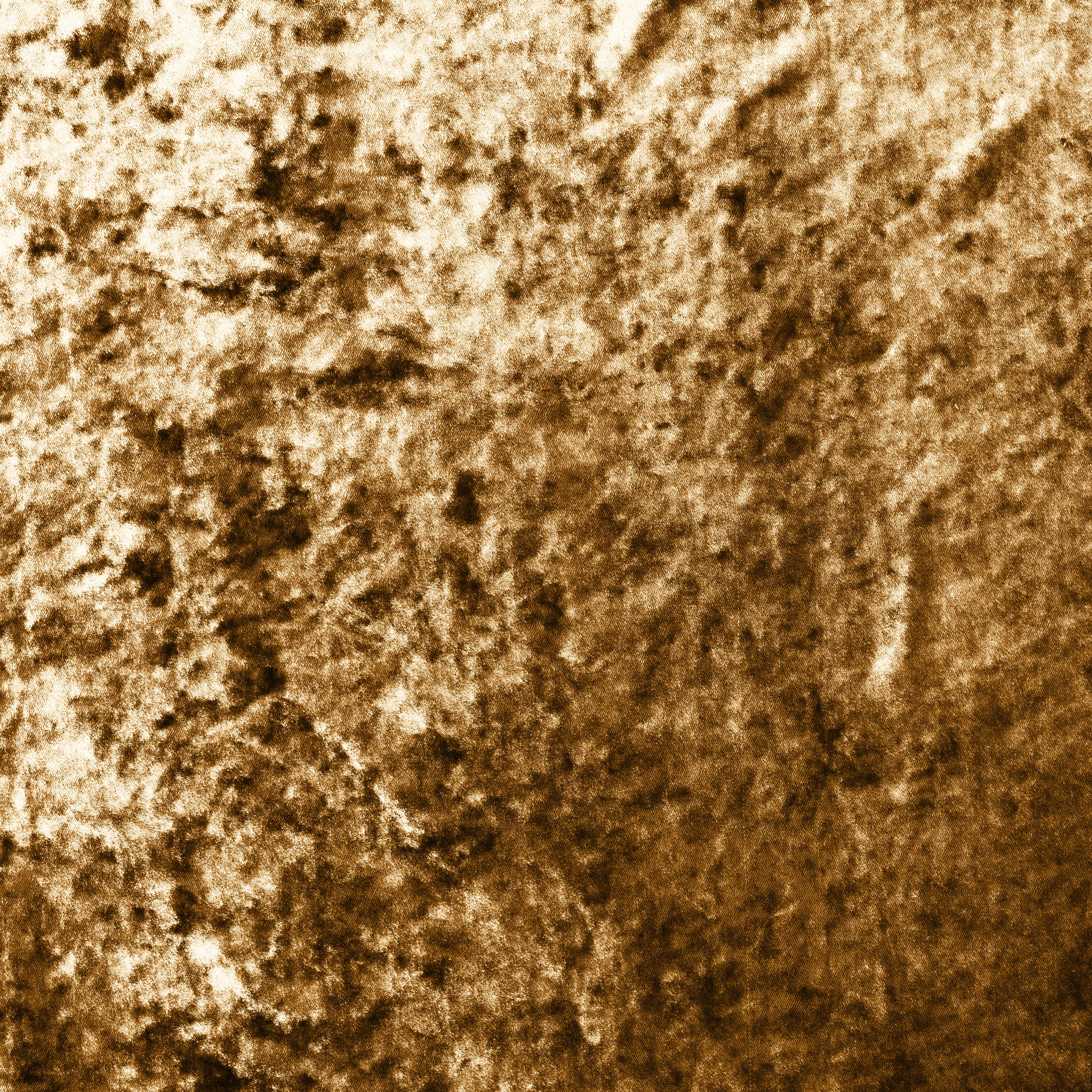 Oyster Mässing 02