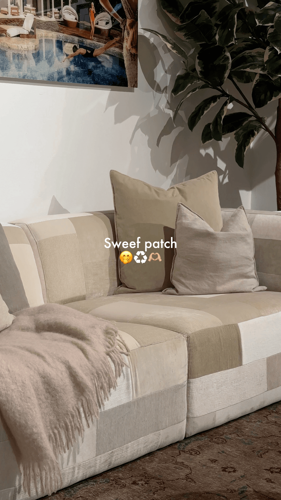 Hajen i Sweef beige patch.